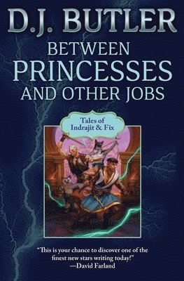 bokomslag Between Princesses and Other Jobs