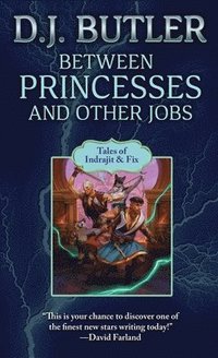 bokomslag Between Princesses and Other Jobs