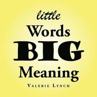 bokomslag Little Words Big Meaning