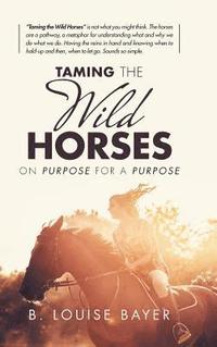 bokomslag Taming the Wild Horses