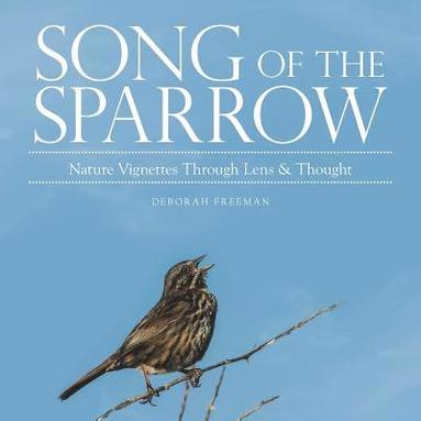 Deborah Freeman - Song of the Sparrow, Häftad