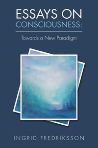 bokomslag Essays on Consciousness