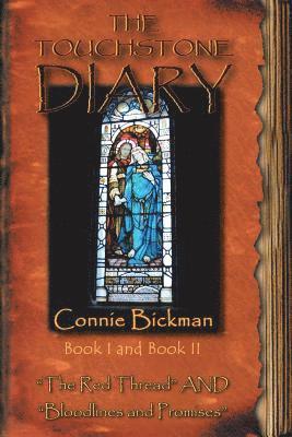 bokomslag Touchstone Diary