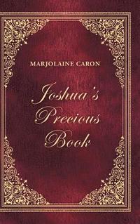 bokomslag Joshua'S Precious Book