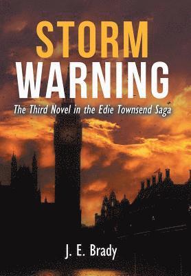 bokomslag Storm Warning
