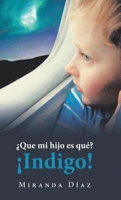 Que Mi Hijo Es Qu? Indigo! 1