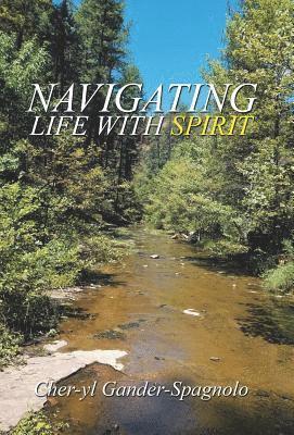 bokomslag Navigating Life with Spirit