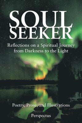 bokomslag Soul Seeker: Reflections on a Spiritual Journey from Darkness to the Light
