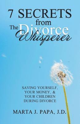 7 Secrets from the Divorce Whisperer 1