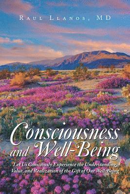 bokomslag Consciousness and Well-Being