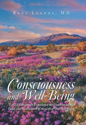 bokomslag Consciousness and Well-Being