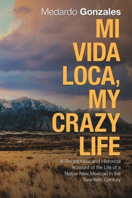 Mi Vida Loca, My Crazy Life 1