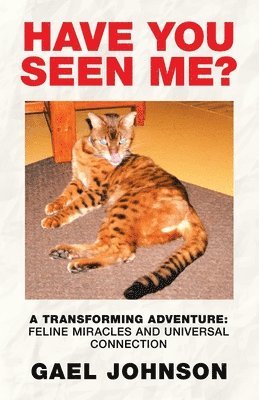 Have You Seen Me? 1