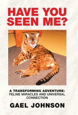 Have You Seen Me? 1