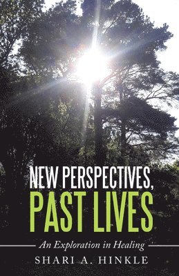 bokomslag New Perspectives, Past Lives: An Exploration in Healing