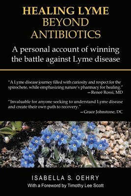 bokomslag Healing Lyme Beyond Antibiotics