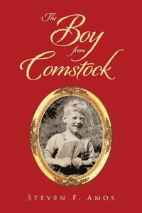 bokomslag The Boy from Comstock