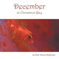 bokomslag December in Cinnamon Bay