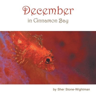 December in Cinnamon Bay 1