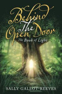 bokomslag Behind the Open Door: The Book of Light