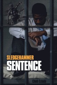 bokomslag Sledgehammer Sentence