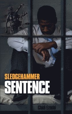 bokomslag Sledgehammer Sentence