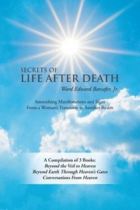 bokomslag Secrets of Life After Death