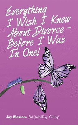Everything I Wish I Knew About Divorce - Before I Was in One! 1