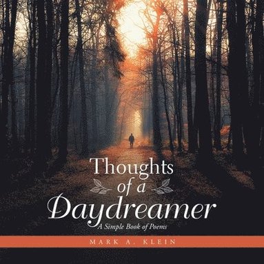 bokomslag Thoughts of a Daydreamer