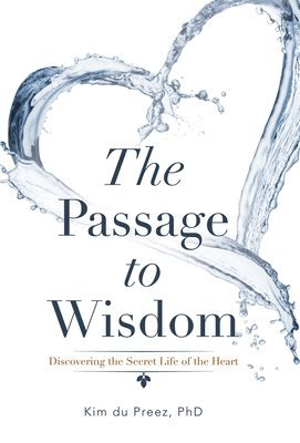 bokomslag Passage to Wisdom