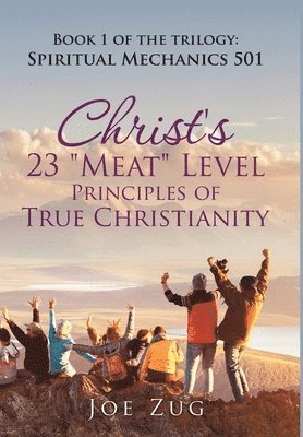 bokomslag Christ's 23 "Meat" Level Principles of True Christianity