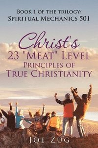bokomslag Christ's 23 "Meat" Level Principles of True Christianity