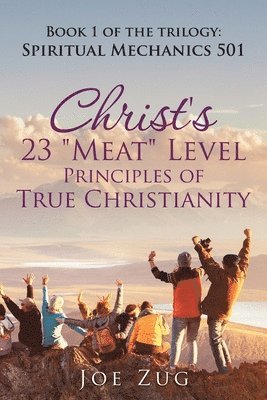 bokomslag Christ's 23 "Meat" Level Principles of True Christianity