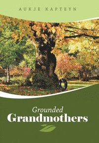 bokomslag Grounded Grandmothers