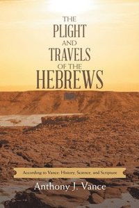 bokomslag Plight and Travels of the Hebrews