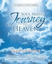 bokomslag Soul Mates Journey to Heaven