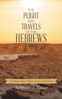 bokomslag Plight and Travels of the Hebrews