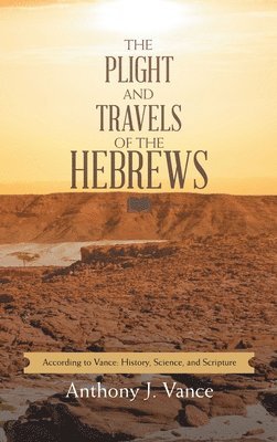 bokomslag Plight and Travels of the Hebrews