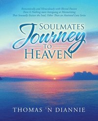 bokomslag Soulmates Journey to Heaven