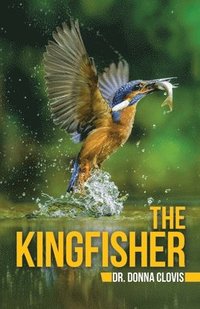 bokomslag The Kingfisher