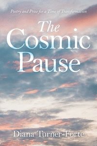 bokomslag The Cosmic Pause