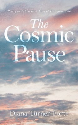 bokomslag The Cosmic Pause