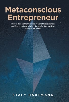 Metaconscious Entrepreneur 1