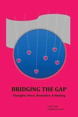 bokomslag Bridging the Gap