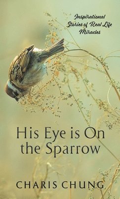 His Eye Is on the Sparrow 1