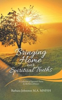 bokomslag Bringing Home Our Spiritual Truths