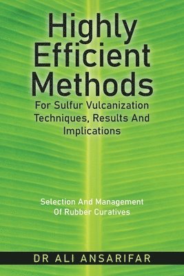 Highly Efficient Methods for Sulfur Vulcanization Techniques, Results and Implications