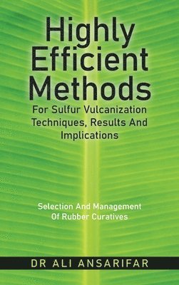 Highly Efficient Methods for Sulfur Vulcanization Techniques, Results and Implications