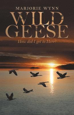 bokomslag Wild Geese