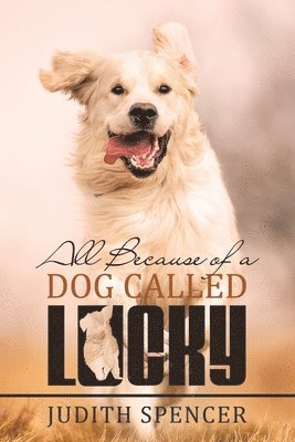 All Because of a Dog Called Lucky 1